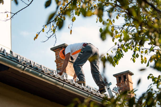 Best Roof Waterproofing Services  in Glyndon, MN