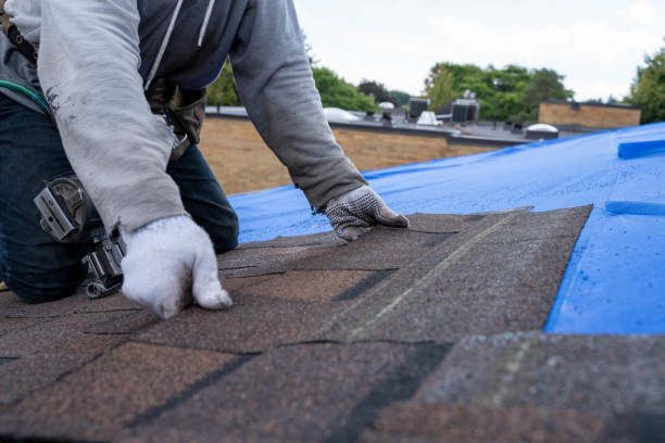 Professional Roofing Contractor in Glyndon, MN