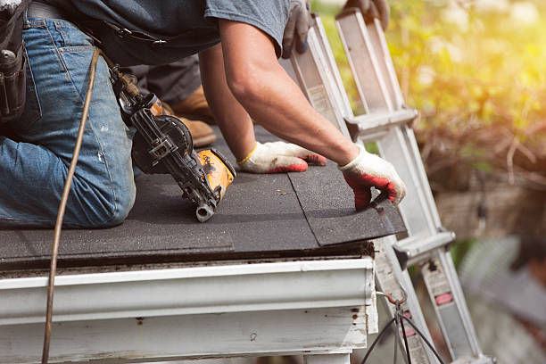 Best Roof Repair Services  in Glyndon, MN