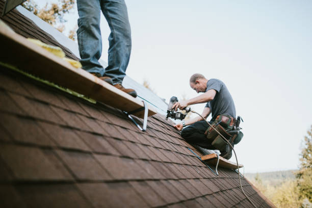 Professional Roofing Contractor in Glyndon, MN