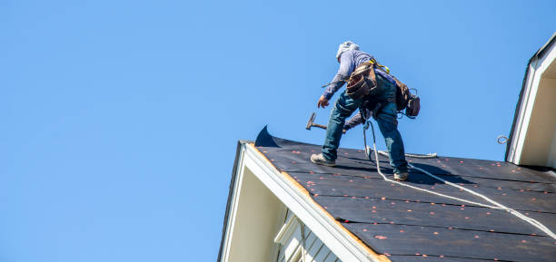 Best Storm Damage Roof Repair  in Glyndon, MN